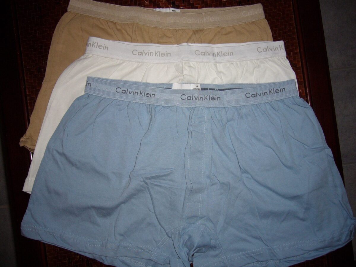 boxer shorts, boxers, underpants
